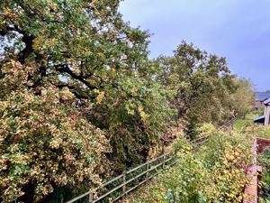 View from Master Bedroom- click for photo gallery